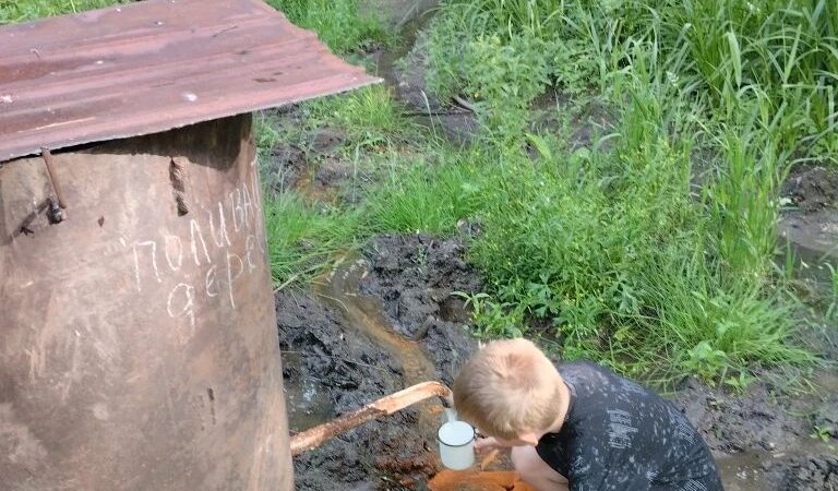 Новая жизнь у родника