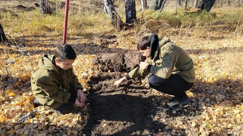 Ташлинцы высадили молодые деревья в рамках акции «Сохраним лес»